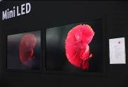 聚焦LED應(yīng)用全場(chǎng)景， 2022深圳國(guó)際全觸與顯示展解鎖行業(yè)新航向